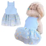 Tutu-Kleid für Hunde und Katzen, Sommer, Tüll, Slip-Spitzenkleid, niedlicher Welpe, Glitzerstern, Rock, Haustier-Partykleidung für kleine, mittelgroße Katzen, Hunde (Blau, Größe M)