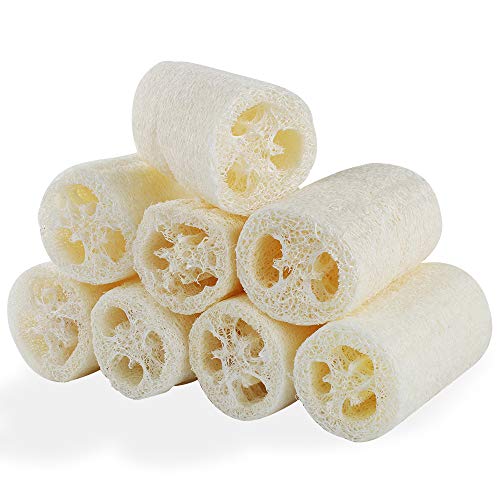 Luffa Schwamm 8Pcs Natürliche Luffa Gurke schwamm,10cm luffa Peeling Biologisch abbaubare LuffSchwämme Perfekt für Körperpflege Küche Bad Scrubber und Luffa Seife