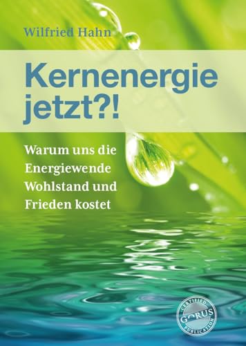 Kernenergie jetzt?!: Warum uns die Energiewende Wohlstand und Frieden kostet