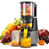 MAISON HUIS Entsafter Slow Juicer mit 13.5cm Extra Großem Einfüllschacht für Ganze Früchte und Gemüse, leicht zu Reinigen Entsafter Gemüse und Obst, Hohe Saftausbeute Juicer Machine,Grau