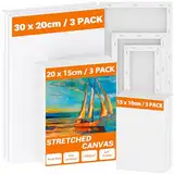 Koncci Leinwand zum Bemalen - 9 Stück (30x20 20x15 15x10cm) Keilrahmen Leinwand aus Säurefreie Baumwolle 280g/m² Dreifach Grundiert, Canvas Leinwände für Acrylfarben Ölgemälde, Anfänger Künstler