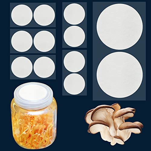 Biomed Solutions Synthetisches Filterpapier Aufkleber, 90 mm, 0,3 μm PTFE, Weiß, 12 Stück