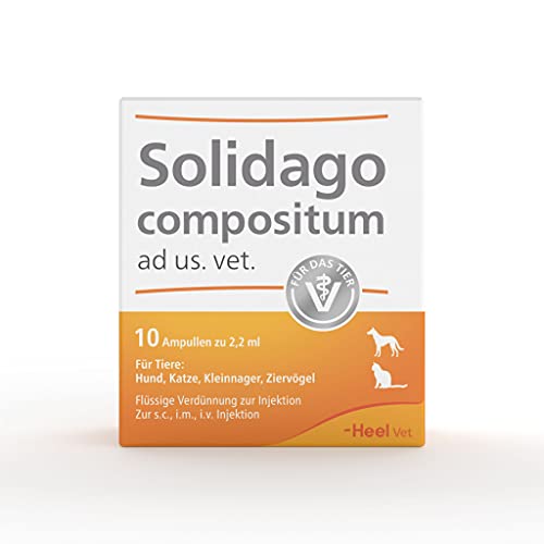 Solidago compositum ad us. Vet. 10 Ampullen. Bestandteil der SUC-Kombination | Natürliches Tierarzneimittel für Katzen, Hunde, Kleinnager und Ziervögel | Made in Germany