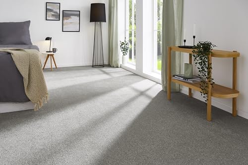 andiamo Teppichboden Izmir für Wohnzimmer und Kinderzimmer - Teppichboden Meterware zum Verlegen - Teppichbelag mit hoher Trittschalldämmung - weicher Teppichboden 400 x 300 cm Grau