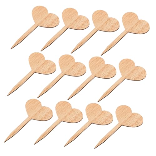 JOINPAYA 30Stücke Gartenetiketten Wiederverwendbare Holzstecker für Topfpflanzen Pflanzenetiketten mit Feiner Gravurkunst und Praktisch für Gartenliebhaber