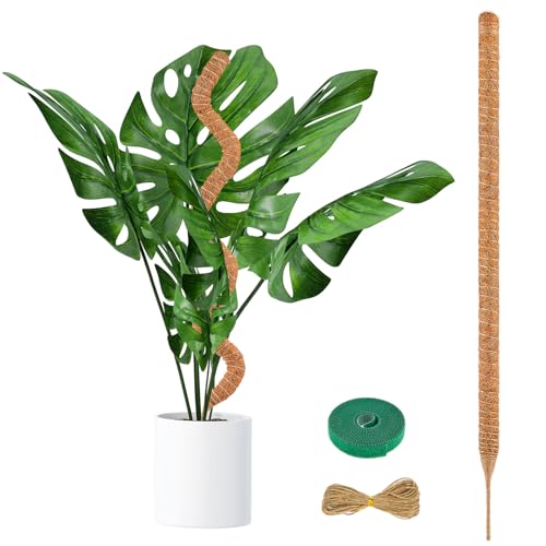 Pflanzstab Kokos, 120cm Monstera Rankhilfe, Kokosstab für Pflanzen, Biegsame Moosstab Monstera Stab Pflanzenstab aus Natürlicher Kokosfaser, Pflanzstäbe Kokos für Pflanzenstütze Garten Kletterpflanzen