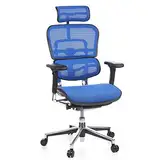 hjh OFFICE 652150 Profi Chefsessel ERGOHUMAN ergonomischer Bürostuhl mit Vollausstattung, Originales Design, Netzstoff Blau