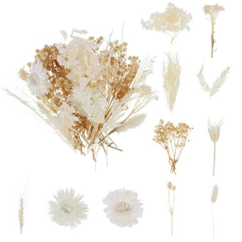 ALTcompluser Trockenblumen zum Basteln, Trockenblumen Klein, Trockenblumen Weiß, Trockenblumen Set für Kunst DIY Harz Scrapbooking Handwerk Karten Machen