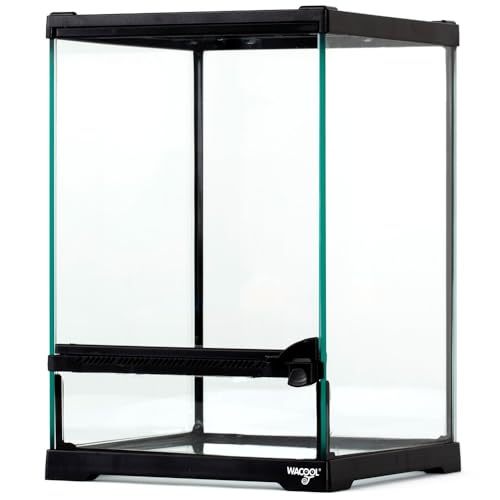 Repti-Zoo Terrarium 21x21x30 cm - Glasterrarium für Reptilien, Amphibien, Spinnentiere und Insekten