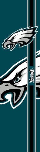 NFL Philadelphia Eagles Türbanner