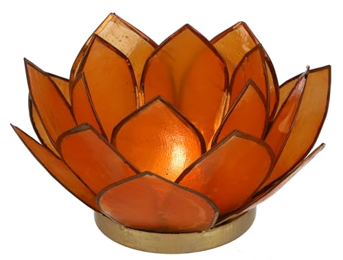 GURU SHOP Lotus Teelicht Muschel 14x6 cm - Orange, Teelichthalter & Kerzenhalter