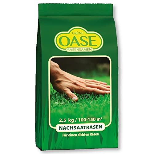 Grüne Oase Rasensamen Nachsaat 2,5 kg Grassamen Schnellwachsend Sportrasen