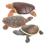 BESTonZON 3st Schildkröten-Modell Schildkröten Figuren Reptilienterrarien Schildkröten-Ornamente Schildkrötenspielzeug Tischdekoration Modelle Kind Klein Chinesische Weichschildkröte Plastik