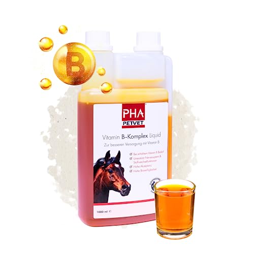 PHA Vitamin B-Komplex Liquid für Pferde - Optimale Unterstützung für Nervensystem & Stoffwechsel, im Wachstum, gegen Stress, Vitamin B flüssig 1L