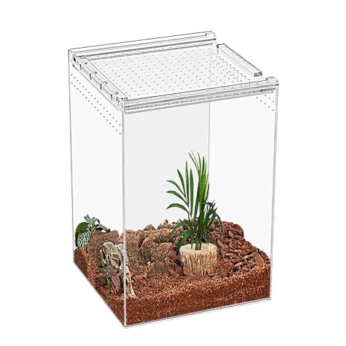 KAKOOTI Reptile Terrarium,20 * 20 * 30cm Reptilienzuchtbox, magnetisches Acrylgehäuse, für Schlange, Tarantula, Einsiedlerkrabbe, springende Spinne, Iguane, Leopard Gecko, Bartdrache, Insekt, Mantis