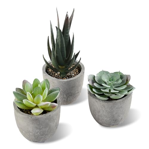 ALANGDUO Künstliche Sukkulenten im Topf, Mini Sukkulenten Künstliche, Kleine Kunstpflanze Wie Echt mit Topf, Dekorative Kunstpflanze für Hochzeit, Büro, Zuhause, Wohnzimmer, Badezimmer Dekoration