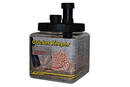 Lucky Reptile Cricket Keeper, für die Haltung von Futterinsekten, 1 Stück (1er Pack)