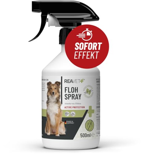 ReaVET Flohspray für Katzen & Hunde 500ml - Sofortschutz gegen Flöhe bei Befall & vorbeugend mit Langzeitschutz, Flohmittel auch für Wohnung, Möbel I Anti-Floh-Spray