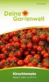 Kirschtomate Bajaja Samen - Solanum lycopersicum - Tomatensamen Cherrytomaten Balkontomaten - Blumensamen - Saatgut für 15 Pflanzen