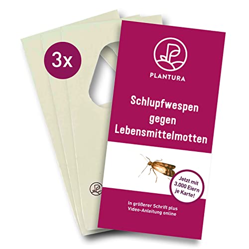 Plantura Schlupfwespen gegen Lebensmittelmotten, 3 Karten à 3 Lieferungen, wirksam & nachhaltig