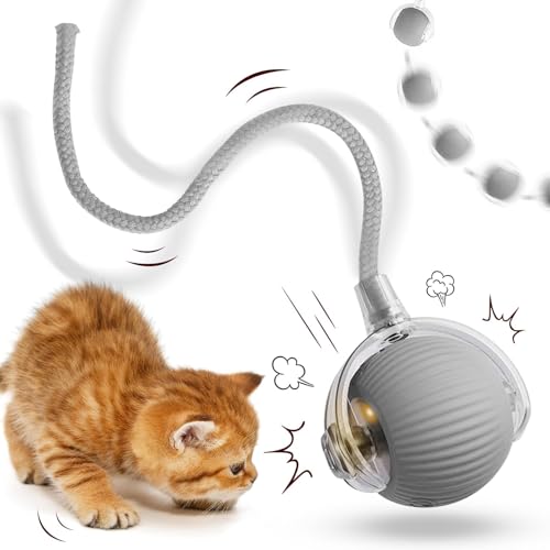 JIASHA Interaktives Katzenspielzeug Katzenball,Katzenspielzeug Elektrisch Katzenball,Katzenball Elektrisch,Interaktives Katzenball Spielzeug,mit LED Licht,mit Seil, USB Wiederaufladbarer (B)