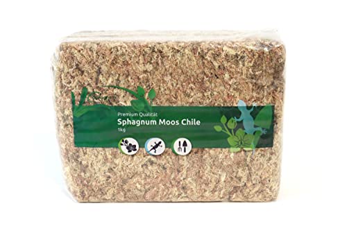 Sphagnum Moos für Terrarium und Orchideen aus Chile 1 x 1000 g