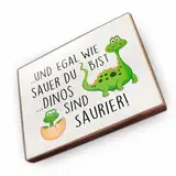 Kühlschrankmagnet mit Spruch - U - Handmade aus Buchenholz - Magnet für Kühlschrank Süß Witzig Lustig - Küchen Kühlschrank Deko 6.5cm x 5cm - Geschenk-Idee (Und egal wie sauer du bist)