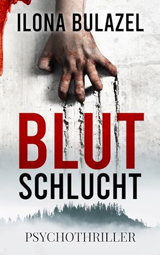 Blutschlucht: Psychothriller