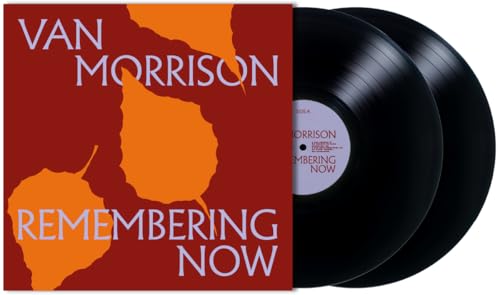 Remembering Now (2lp) [Vinyl LP]