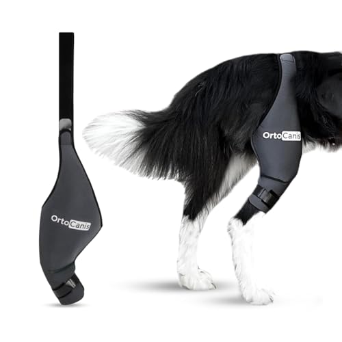 Ortocanis - Kniebandage Hund Hinterbein für das Linke Bein - Hergestellt aus Neopren ARD - Bei Kreuzbandriss, Bänderverletzungen, Patellaluxation oder Osteoarthritis - Größe X-Large (14,2-16")