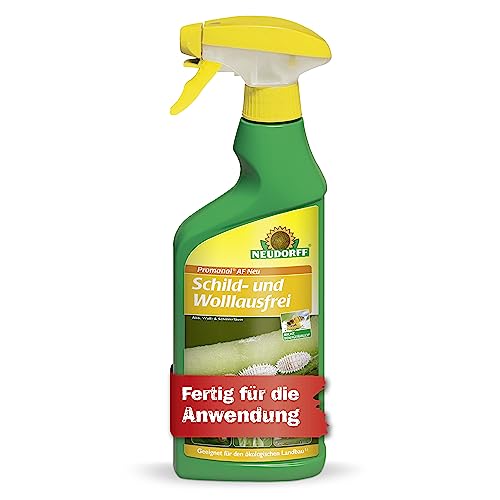 Neudorff Promanal AF Neu Schild- und Wolllausfrei – Bekämpft Schild- und Wollläuse sowie Spinnmilben an hartlaubigen Zierpflanzen wie z.B. Oleander und Olive, 500 ml, bunt