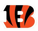 Siskiyou NFL Sports Fan Shop Cincinnati Bengals Logo-Magnete, 20,3 cm, Team-Farbe