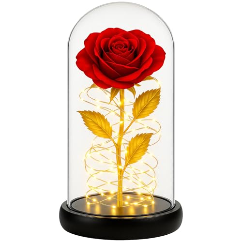 Retoo Ewige Rose im Glas mit LED Licht, Gefriergetrocknete Rosen als Geschenk für Frauen, Rote Konserviert Blume Schöne und das Biest Figur, Infinity Blume mit Glitzer, Geschenkbox für Geburtstag Vale
