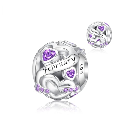 Alstiva Februar Geburtsstein Charm 925 Sterling Silber 5A Zirkonia Charm Anhänger für Armband Charm Bead Pendant für Europäische Armbänder Halsketten Schmuck Geschenk für Damen Frauen