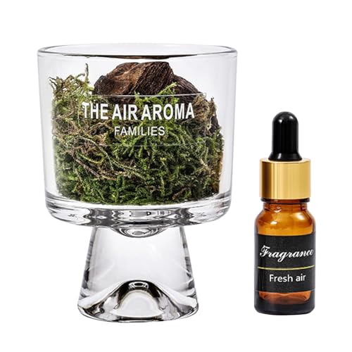 Öldampfer, Eisverteiler,Klarglasflasche Pine Moss Diffusor | Dekorativer Öldampfer, ästhetische kleine Aromatherapie-Diffusoren für Wohn- und Küche Interieur