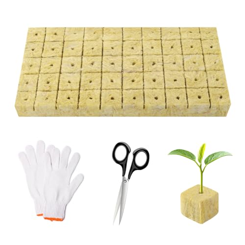 MOKIDO 50 Stück Steinwolle Anzucht, Steinwolle, Rockwool Cube, Anzuchtmatte Bodenlos mit Schere Handschuhe, Steinwolle Würfel für Stecklingen, Pflanzenvermehrung, Klonen und Anzucht