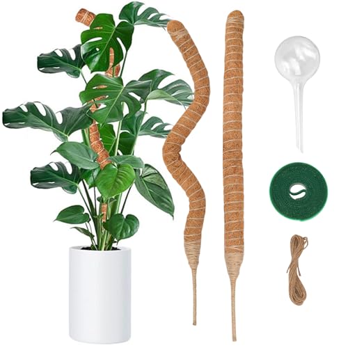 2 Stück Moosstab für Monstera, 60cm Monstera Rankhilfe mit Pflanzen Zubehör, Moosstab Monstera, Handgefertigte Kokosstab Monstera Moss Pole für Indoor Pflanzen