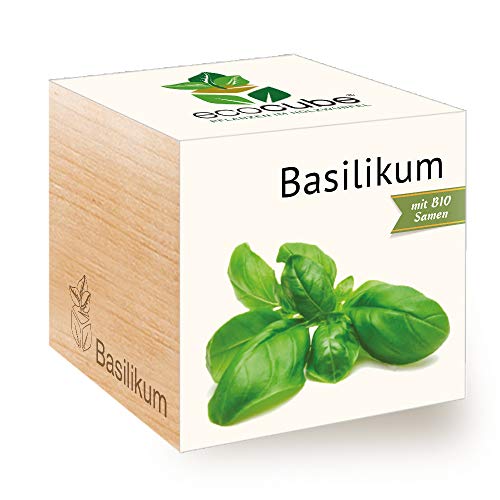 Feel Green Ecocube Basilikum, Bio Zertifiziert, Nachhaltige Geschenkidee (100% Eco Friendly), Grow Your Own/Anzuchtset, Pflanzen Im Holzwürfel, Made in Austria