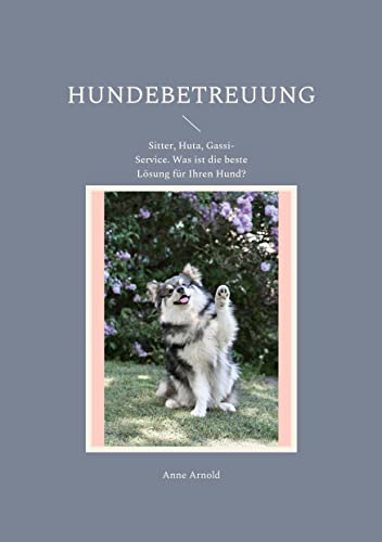 Hundebetreuung: Sitter, Huta, Gassi-Service. Was ist die beste Lösung für Ihren Hund?