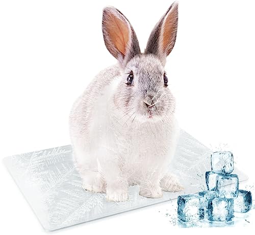 LeapBeast Kühlmatte für Haustiere, Kühlplatte aus Aluminiumlegierung, Sommer-Eisbett zum Kühlen von Haustieren für Meerschweinchen, Hamster, Kaninchen usw (XL-38 * 26CM/1Pcs)