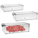 HEKOBAG Kühlschrank Organizer Schublade Stapelbar Kühlschrank Organizer Schubladenbox mit Deckel Kühlschrank Box 3 Größen Aufbewahrungsbox Kühlschrank Vorratsbehälter mit Abtropfbrett für Obst Gemüse