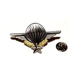 Textilhandel Hering Fallschirmjäger l Anstecker l Abzeichen l Pin 38