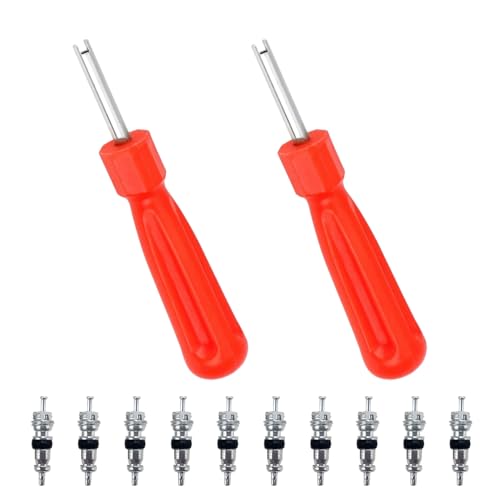 FuzlPnag 10 PCS Ventileinsätzen mit 2 Ventileinsatzentferner, Ventilkernwerkzeug, Ventilkern-Entferner ,für Auto Fahrrad LKW Ersatzreifen