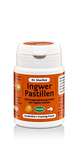 Ingwer Pastillen Dr. Muches | Zum Lutschen oder Kauen | Ingwer-Kick für Zwischendurch | Vegan und in Bio-Qualität | 1x27 gr