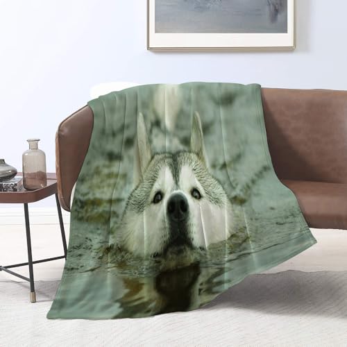 DELURA Kuscheldecke Flauschig Decke FlanellSchwimmendes Husky-Tierwasser - Wohndecke Warm Winter Weich, Decke Couch Blanket, Wohn- & Kuscheldecken100x130cm