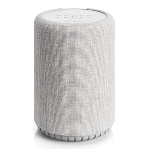 Audio Pro G10 - Tragbarer Multiroom Lautsprecher mit Voice Control über Google Assistant - Kabelloser Smart Speaker mit App - Bluetooth & WiFi - Dunkelgrau