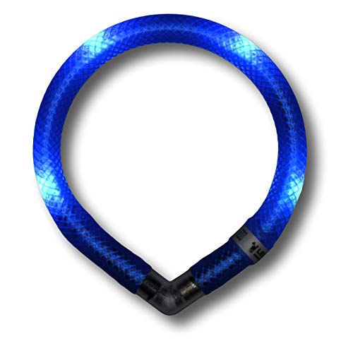 LEUCHTIE® Leuchthalsband Mini für Hunde, wasserdichtes LED Halsband, enorm hell, 50h Leuchtdauer, für kleine Hunde blau Größe 30