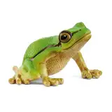 schleich 14882 Europäischer Laubfrosch, ab 3 Jahren, WILD LIFE - Spielfigur, 4 x 5 x 3 cm