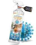 Qindoo Desinfektions-Reiniger Fitness SPA, 1L Desinfektionsspray für Fitnessstudio, Sport, Reha, Yoga, Sauna, Gym, reinigt und desinfiziert in einem Arbeitsgang