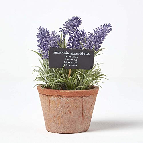 Homescapes künstliche Küchenkräuter im Topf, Lavendel, mediterrane Kunstkräuter im Tontopf als Innenbereich-Deko, künstliche Topfpflanze, 15 cm hoch